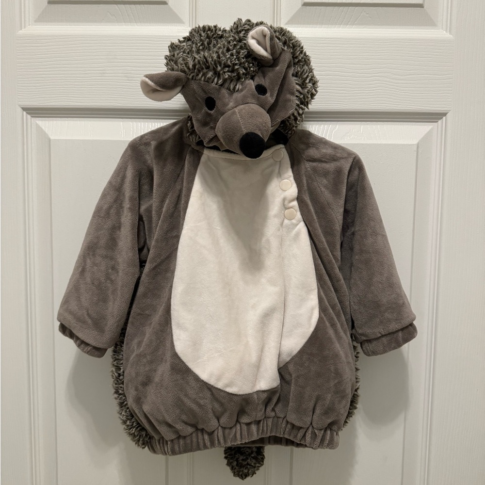 Baby Hedgehog Halloween Costume size 12-18 months